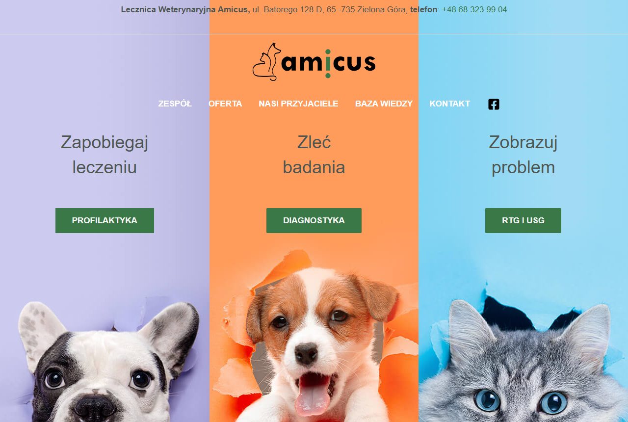 Strona główna amicus-vet.com